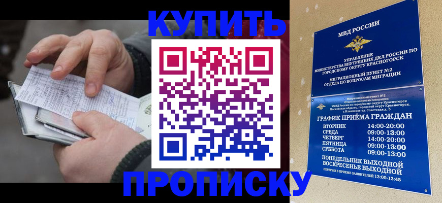 временная регистрация недорого в Коврове